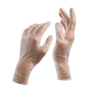 Large - Vinyl Powder Free Gloves Clear AQL 1.5 (Case Of 1000)