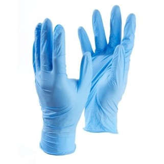 Small - Vinyl Powder Free Gloves Blue (Case Of 1000)